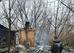 Следователи проверят жуткий пожар, в котором погибли двое в Воронежской области