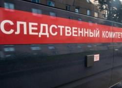 Следователи проверят информацию о падении сосны на 8-летнего мальчика в Воронеже