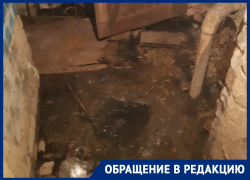 Зловонный подвал и цинизм УК: как воронежцы выживают в антисанитарии рядом с губернатором