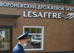 Из-за загрязнения воздуха воронежским дрожзаводом заинтересовались силовики