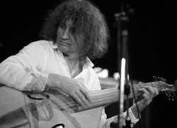 В Воронеже выступят музыкант Сергей Старостин и группа «Волковтрио»