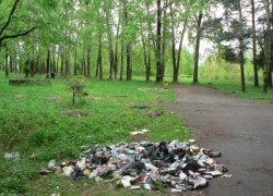 «Это или тайная игра, или мэр не знает, что происходит в Воронеже с уборкой мусора»