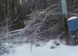 Равнодушие электриков на новогодних праздниках воронежцы сняли на видео