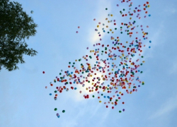 В Воронеже 25 апреля в Парке Дурова откроют летний сезон