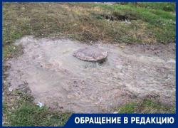 Зловонная река затопила воронежскую улицу после аварии