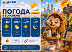 Погода не перестаёт удивлять: прогноз погоды в Воронеже