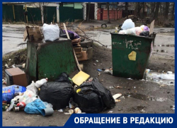 Помойное зверство лишило воронежцев нормальной жизни