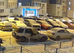 Комичное сражение с закрытым авто сняли в воронежском микрорайоне 