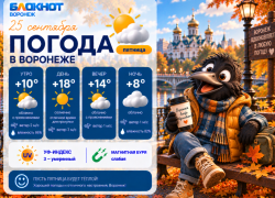 Устраиваем киновечер: прогноз погоды в Воронеже