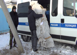 Воронежец вырастил 15 килограммов конопли на зиму 