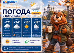 Дождливые выходные: прогноз погоды в Воронеже 