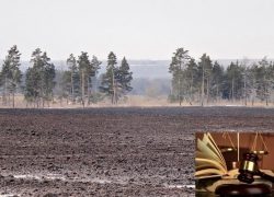 За махинации с чужими землями воронежский мошенник отправился на 4,5 года в колонию 