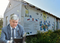 «Не вывезли?»: у Воронежской области забрали шефство над двумя районами ЛНР