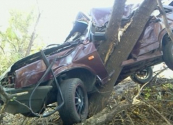 В Воронежской области «девятка» вылетела с дороги в дерево