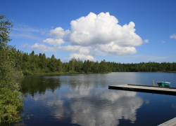 Чем запомнилось лето 2014 года воронежским политикам и бизнесменам 
