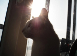  Какая погода ждёт воронежцев в последний день марта