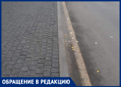  Обратную сторону ярких свадеб показали в центре Воронежа 