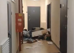 Ночная «школа ремонта» от неадекватной девушки попала на видео в Воронеже