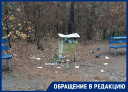 Многострадальный Северный лес завалили мусором в Воронеже 