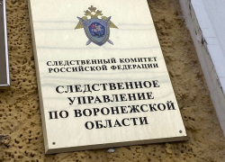 Пенсионера с простреленной головой нашли в Воронежской области 
