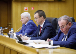 Два новых почетных знака планируют ввести для депутатов в Воронежской области