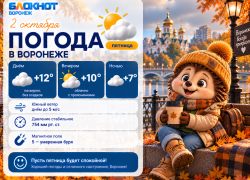Воронежцев предупредили о неспокойном магнитном фоне и похолодании