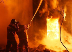 Семья из пяти человек с маленькими детьми погибла на пожаре под Воронежем