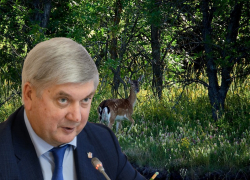 Остановит ли губернатор Гусев «живодёрское сафари» в Воронежской области