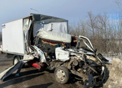 Полицейские показали фото с места ДТП с двумя грузовиками на воронежской трассе 