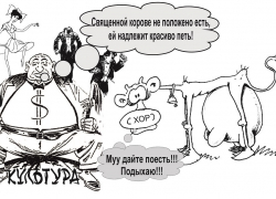 Воронежские ТОБ и ТЮЗ: конфликт вокруг ППК сменяет контрактная война