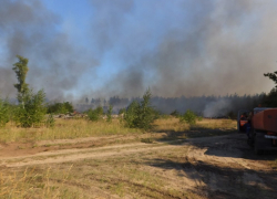 Воронежские спасатели объявили высокий уровень пожарной опасности