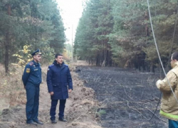 Прокуратура назвала причину пожара, уничтожившего 50 домов в Воронежской области