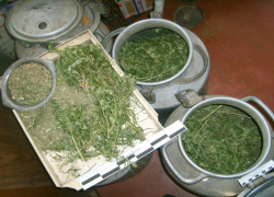 У воронежца нашли 5 килограммов марихуаны