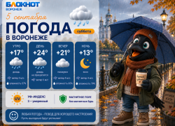 Кап-кап: прогноз погоды в Воронеже