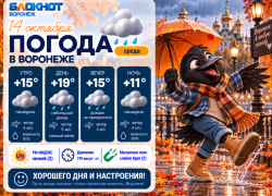 Прыгаем по лужам: прогноз погоды в Воронеже