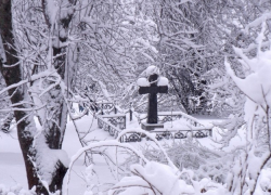 На кладбище в Воронежской области под снегом нашли тело мужчины 