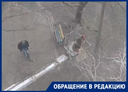 Воронежские коммунальщики «прошлись» по деревьям во дворе на Новгородской