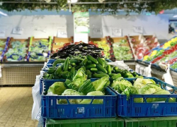 Полиция задержала 22-летнего воронежского вора