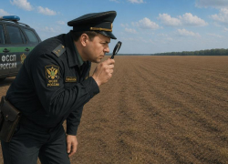 Воронежец «потерял» свою иномарку накануне дня конфискации