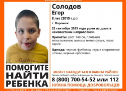 Восьмилетний мальчик  пропал в Воронеже