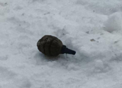 В Воронеже расследуют инцидент с выброшенной с балкона гранатой