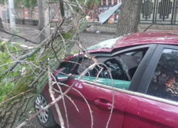 Дерево расплющило иномарку после грозы в центре Воронежа