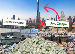 Воронежцы платят за мусор ЭкоТехнологиям, они - Экосфере, а дальше деньги по цепочке уходят в Дубай