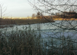 В Воронеже утонул рыбак, провалившись под лед 