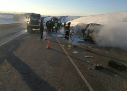 Стали известны личности 8 погибших в ДТП под Воронежем