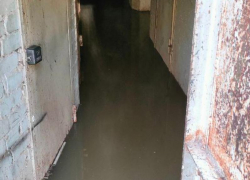 Вонючий подвал шокировал воронежцев