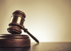 За смерть двух пенсионеров на воронежской трассе водитель ответит в суде