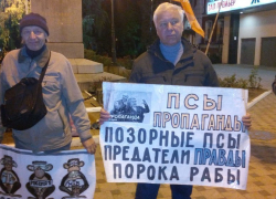 Воронежские либералы по итогам выборов в Госдуму вышли на пикет на Никитинской площади