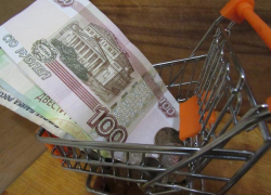 Воронежские бизнесмены с помощью налогов увели из бюджета России миллион рублей