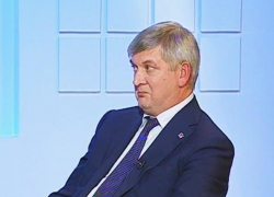 Три депутата решили отменить выборы мэра Воронежа